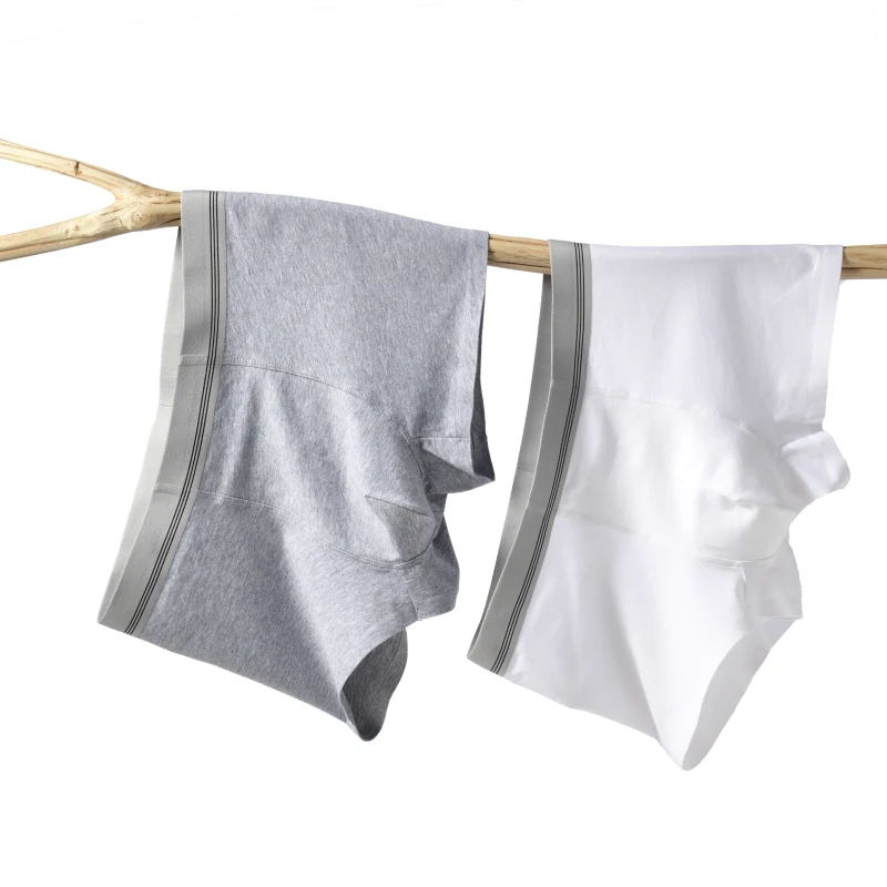 Seamless cotton boxer, styled